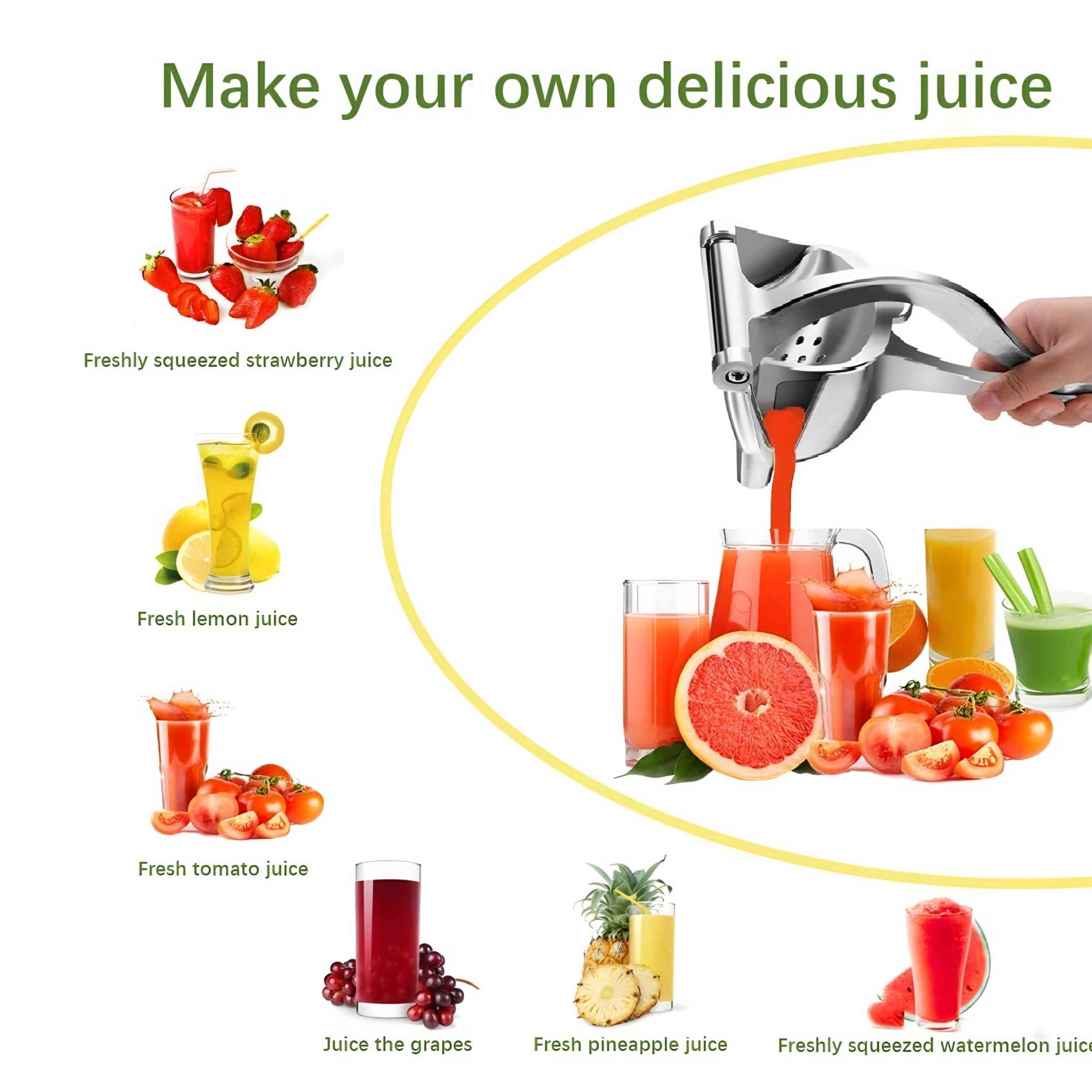 Fruit Juicer Manual Squeezer Stainless Steel