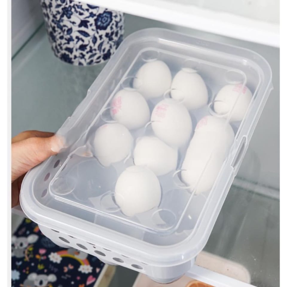 Egg Storage Box – 15 Grid