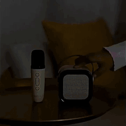 K12 Portable Karaoke Bluetooth Speaker with RGB Lights & Microphone