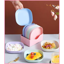 10 Pcs Plates Set With Holder 