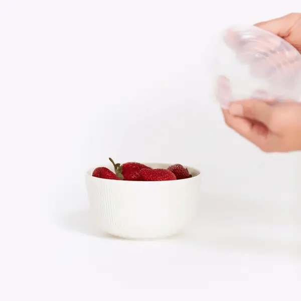 Disposable Elastic Food Covers – Pack of 100